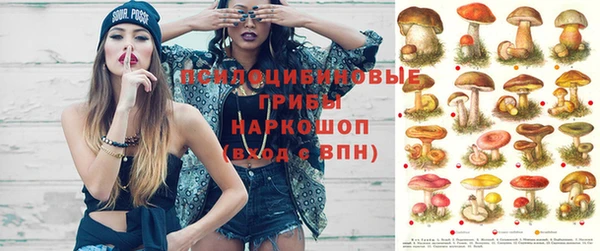 крисы Зеленокумск