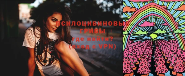 крисы Зеленокумск