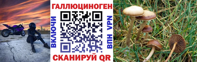 Галлюциногенные грибы MAGIC MUSHROOMS  Салават 
