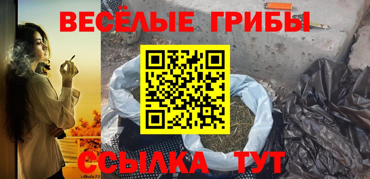 Галлюциногенные грибы Cubensis Салават