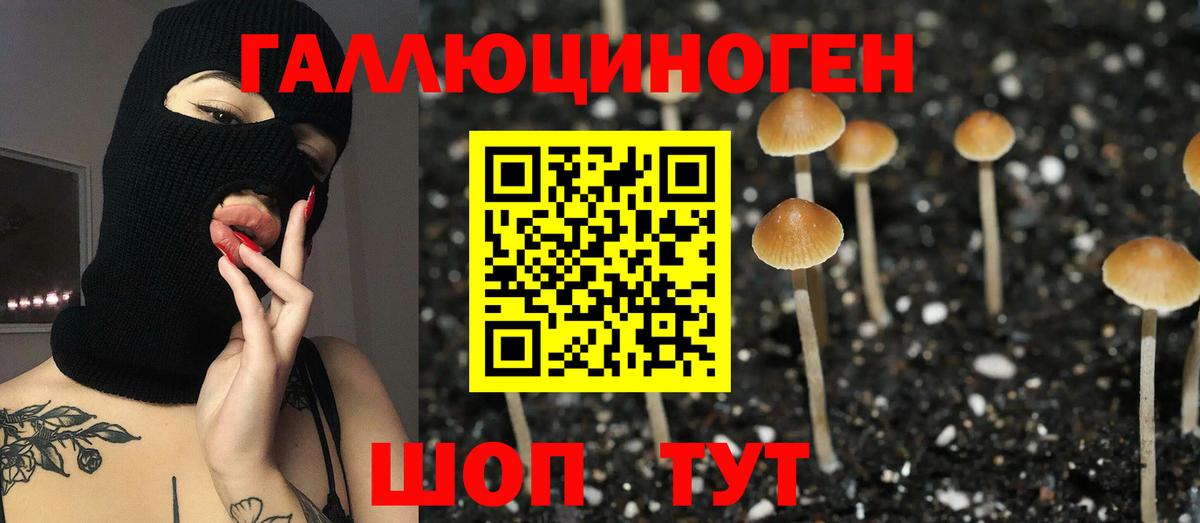 Салават  Псилоцибиновые грибы GOLDEN TEACHER  Вход с VPN 